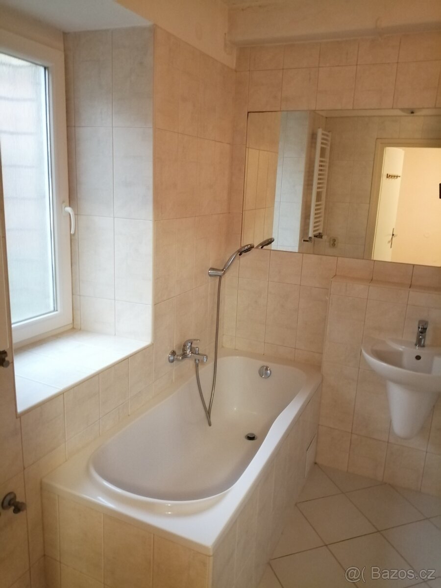 Pronájem 1+1, ulice Merhautova, Černá Pole, 35 m2 - 4