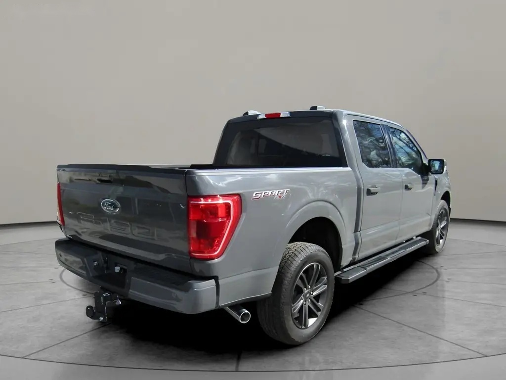 Ford F-150, V8/295 KW SPORT 4WD