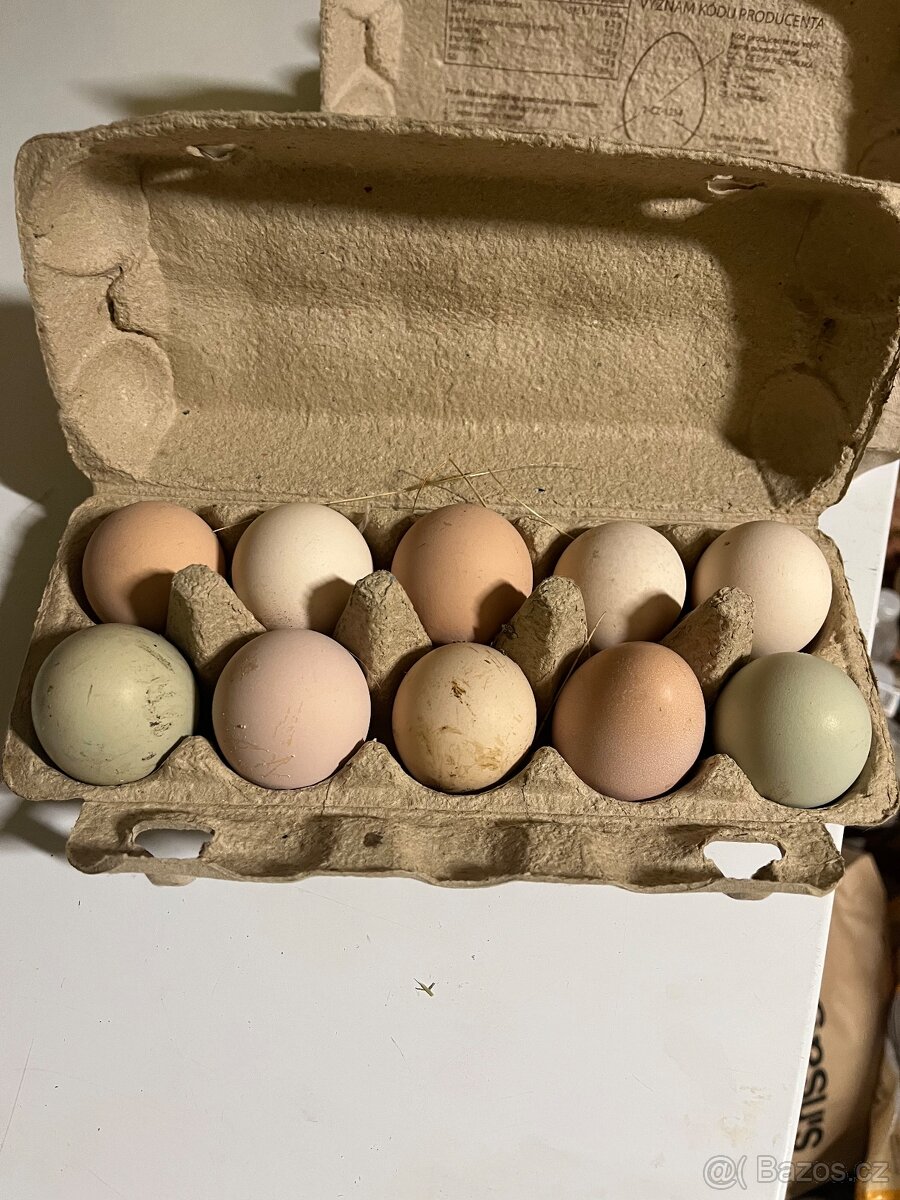 Násadová vejce - Dvorkový mix - 4