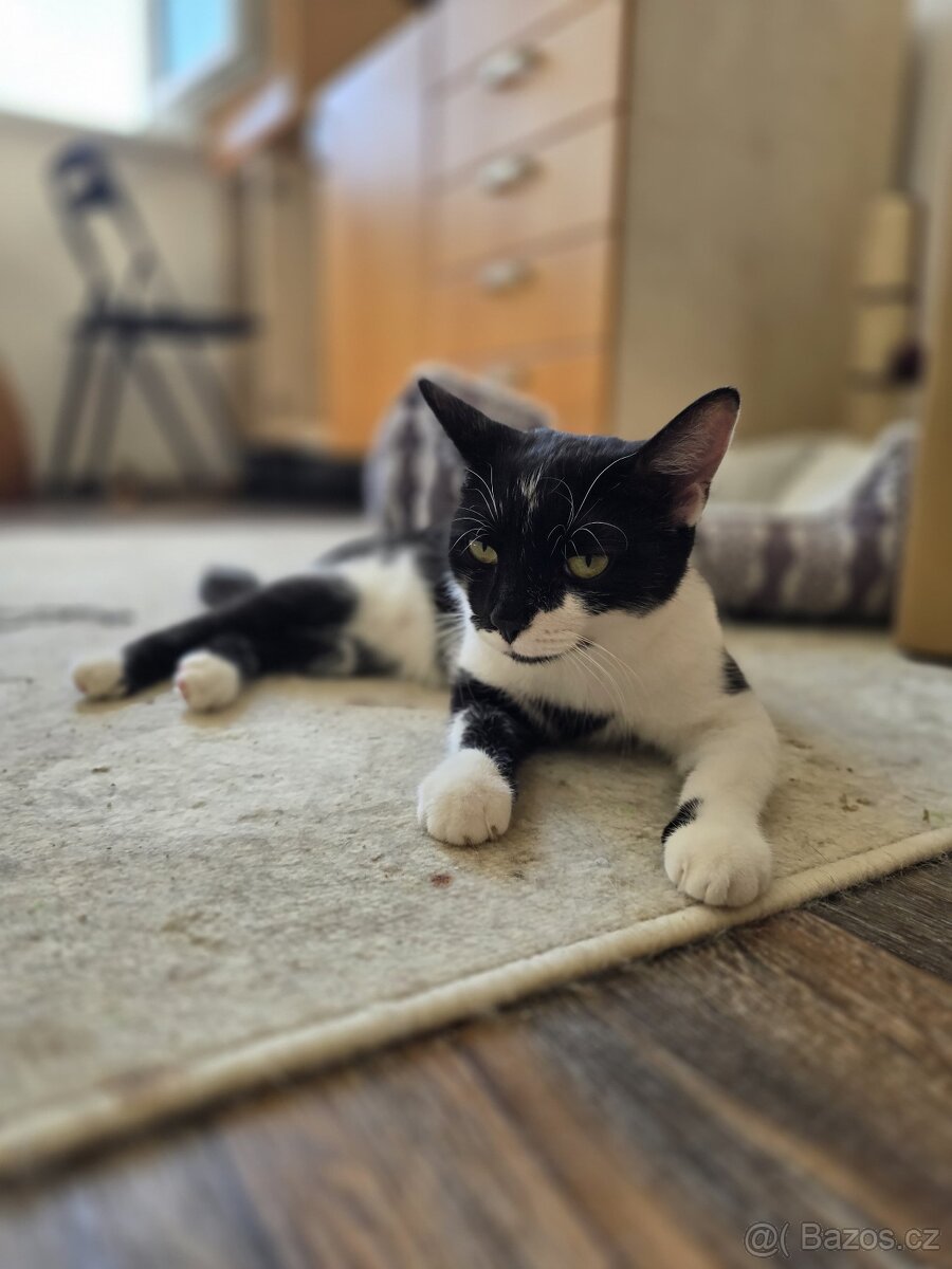 Bibi a Bobi - 4