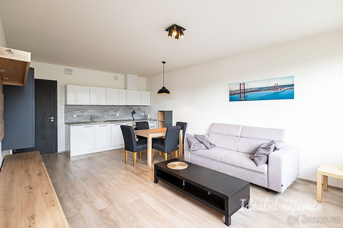 Pronájem bytu 2kk 55m2 - 4