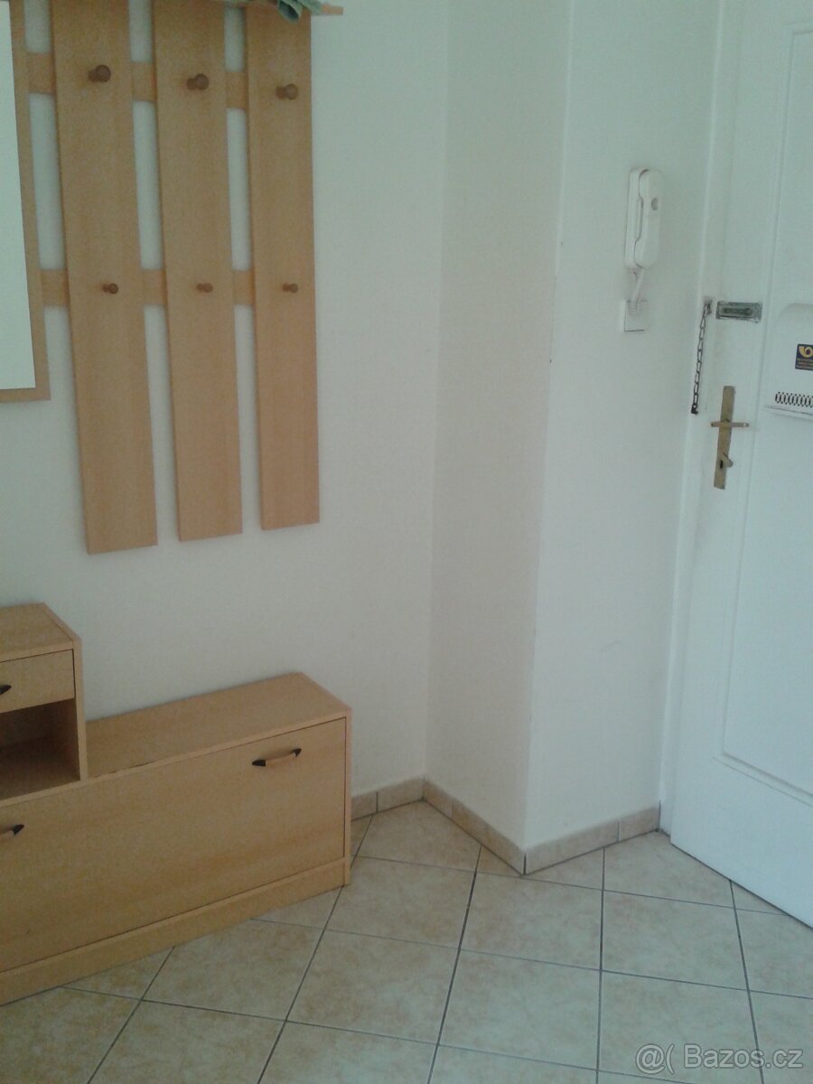 Pronájem bytu 1+1 Žižkov - 4
