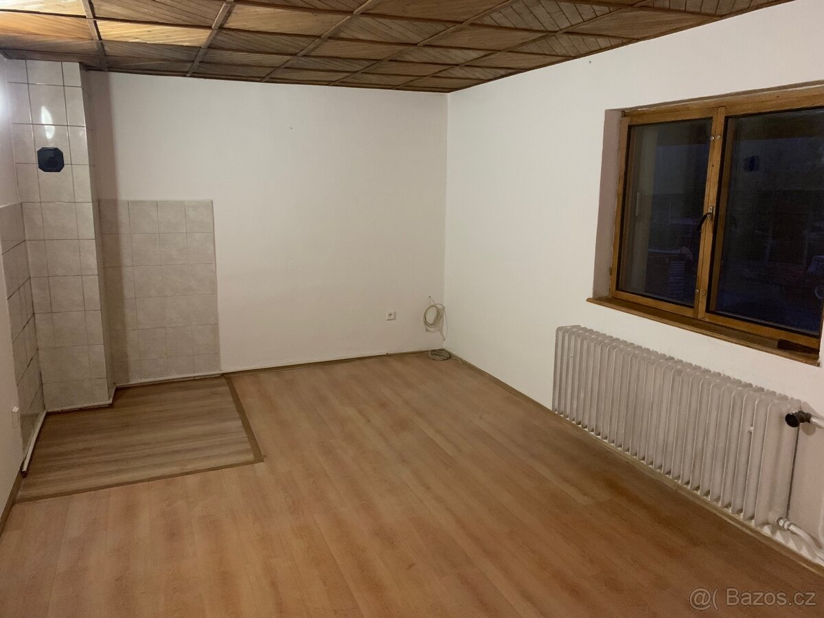 Pronájem bytu - 4