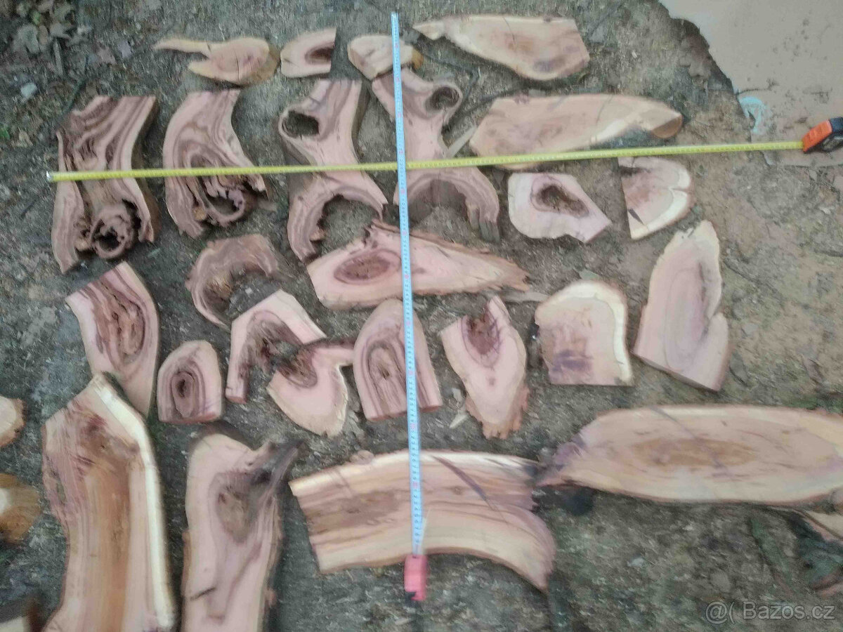švestka fošny 4cm silné,vhodné do pryskyřice a na dekoraci - 4