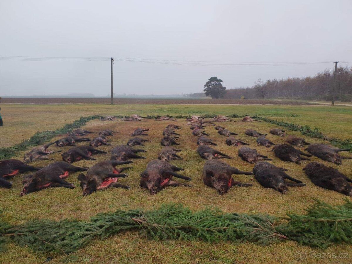 Polovačka v maďaesku - 4