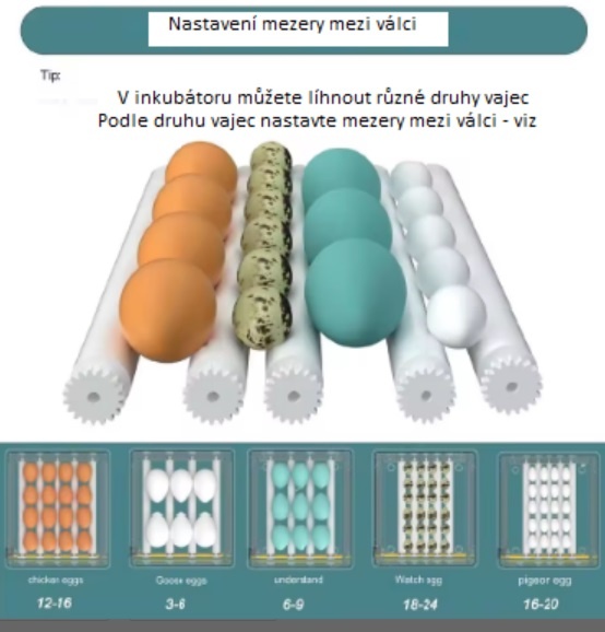 Automatická líheň, inkubátor, pro 16 slepičích vajec - 4