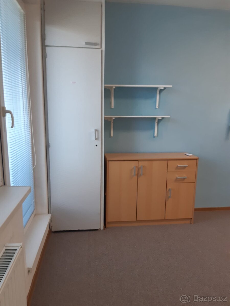 Pronájem bytu 1+kk - 4