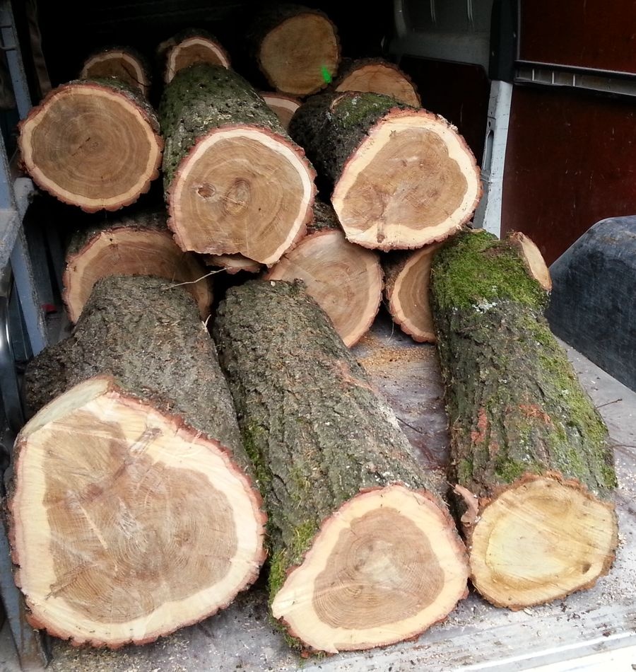 Kopím tvrdé palivové dřevo - 4