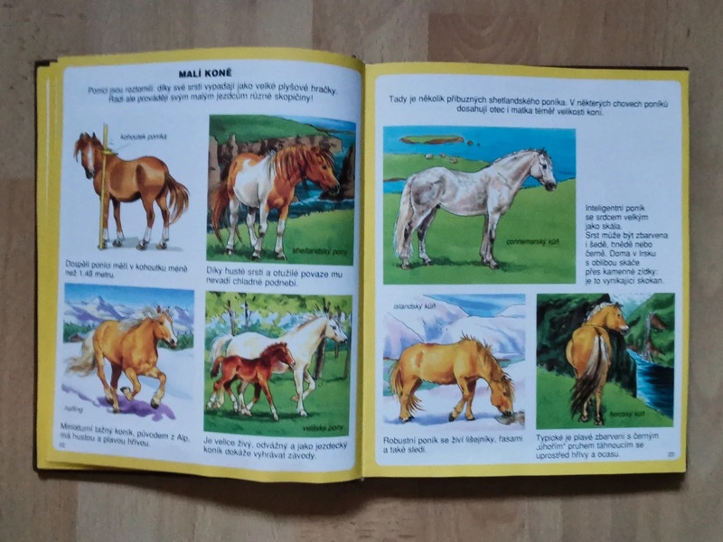 Kniha Obrázky koní a poníků, čtená - 4