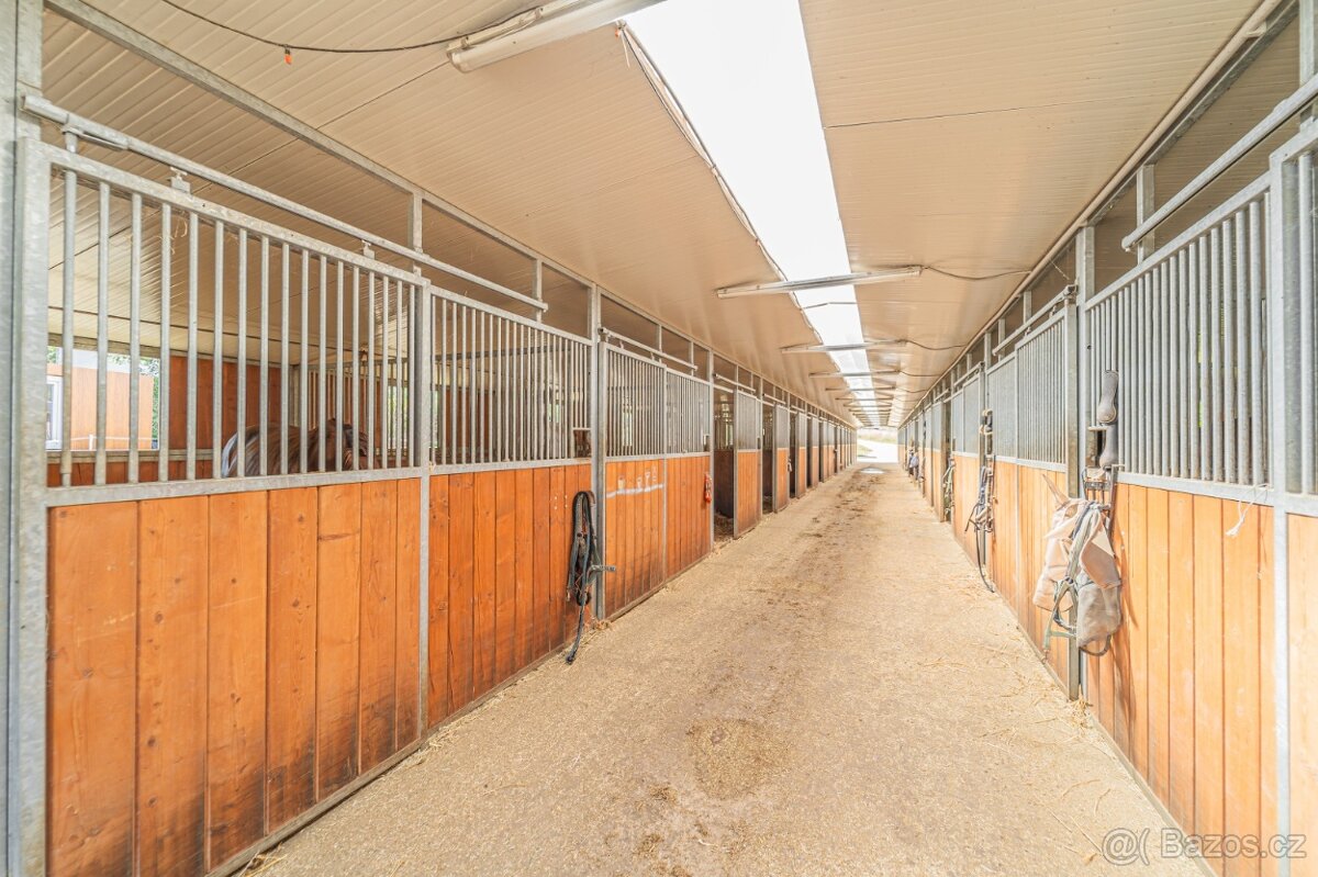 Ustájení koní – Telce u Peruce - 4