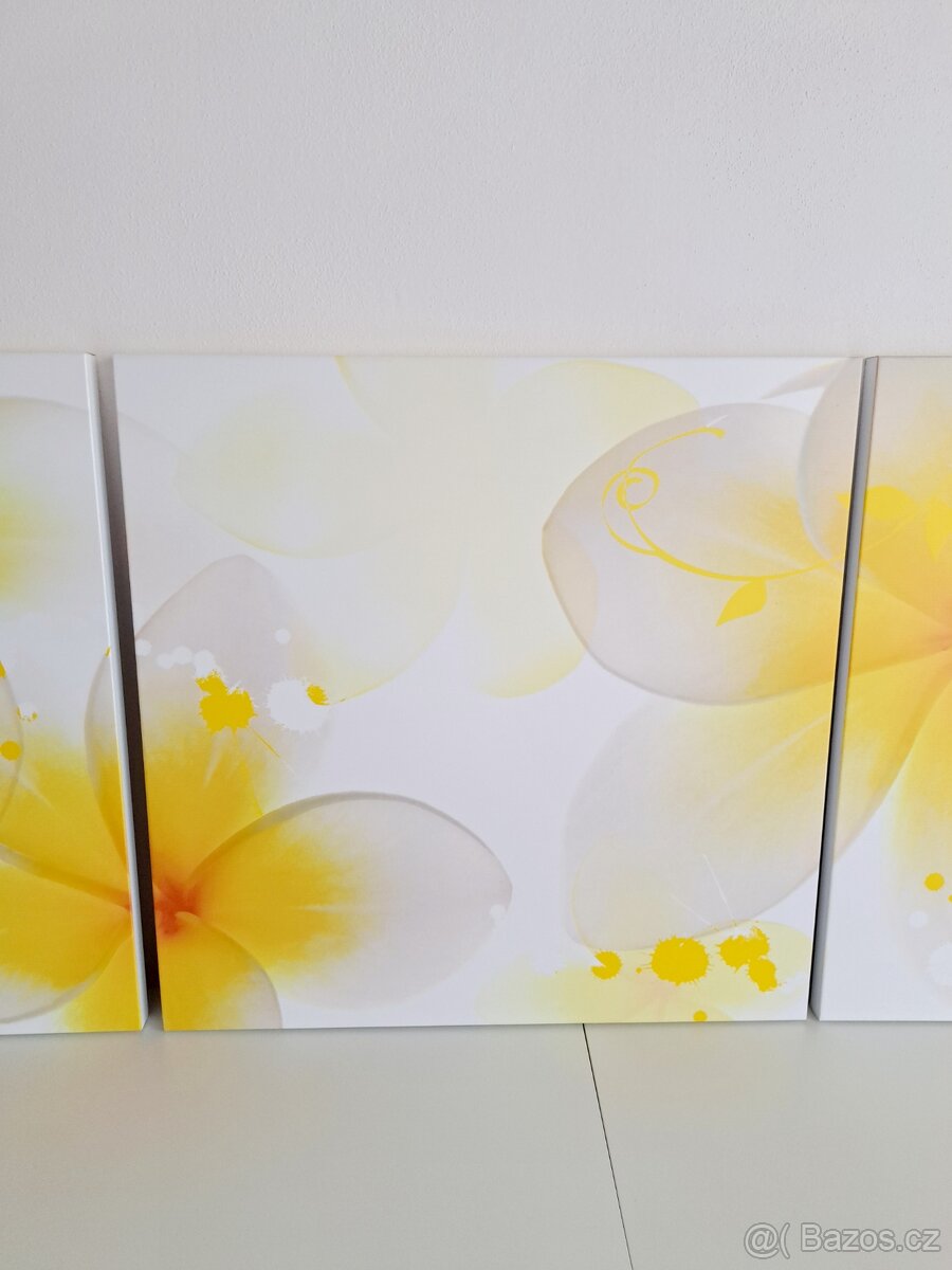 Trojdílný obraz - 4