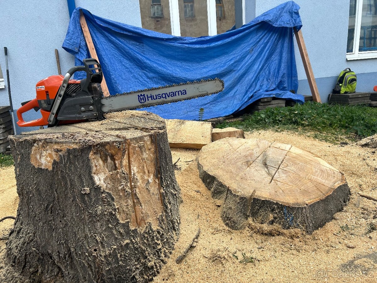 Zahradnické služby, práce, kácení - 4