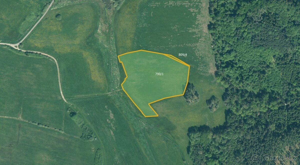 Louka, prodej, Cerhonice, Písek - 4