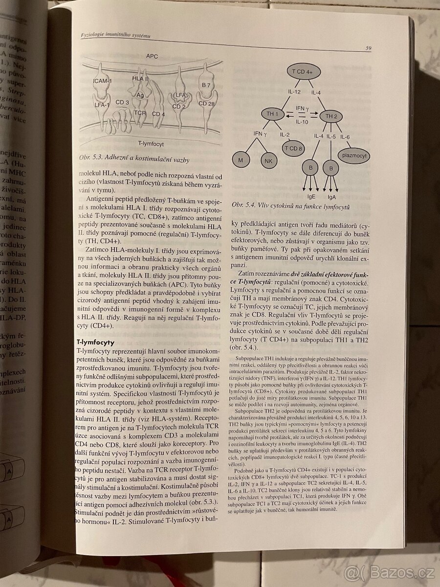 Vnitřní lékařství - 4