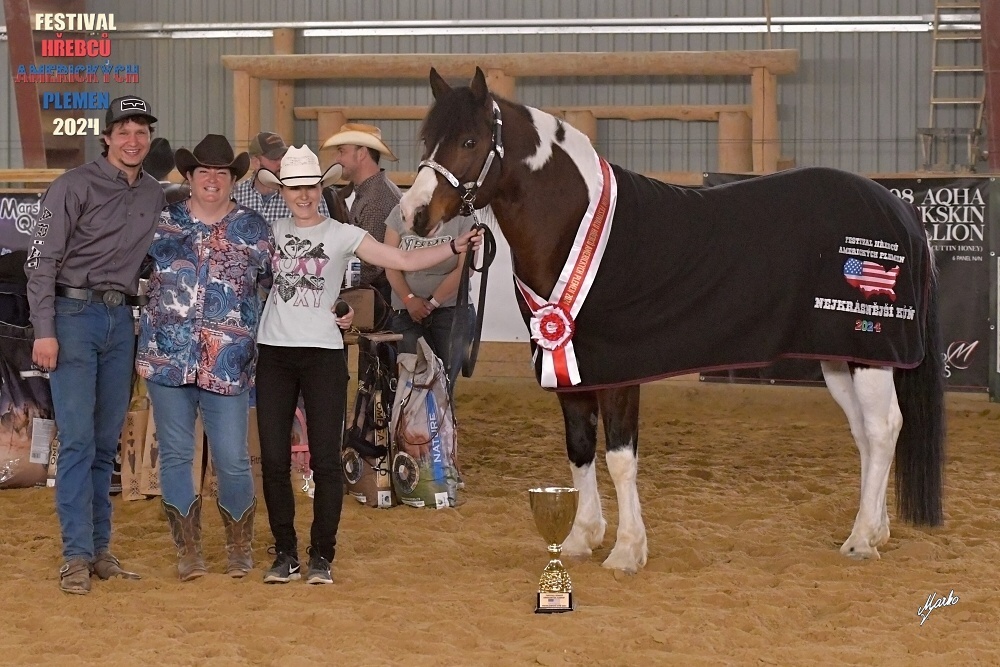 Fantastic Dj Valentin -připouštění homozygotní APH plemeník - 4