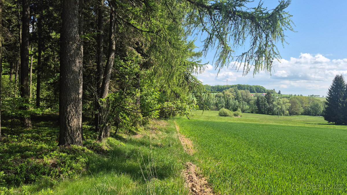 Prodej pozemku 5776 m2 v Borové u Poličky, okr. Svitavy - 4