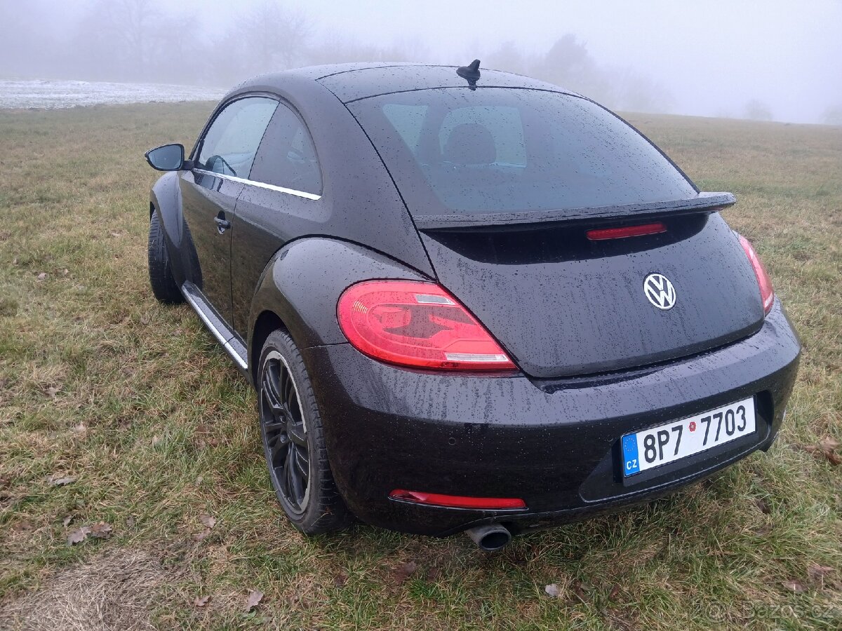 VW Beetle - 4