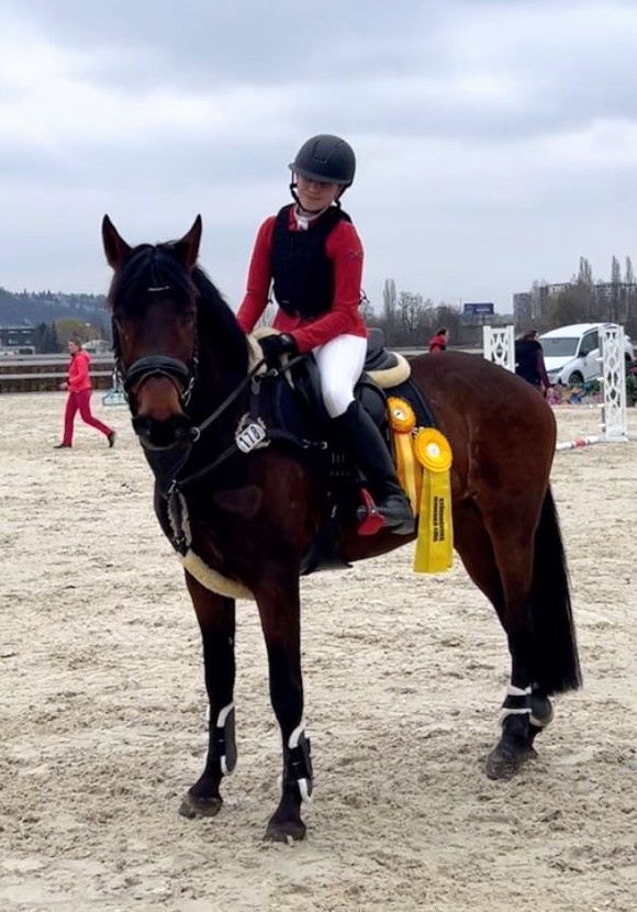 Moc hodný valach na prodej - 4