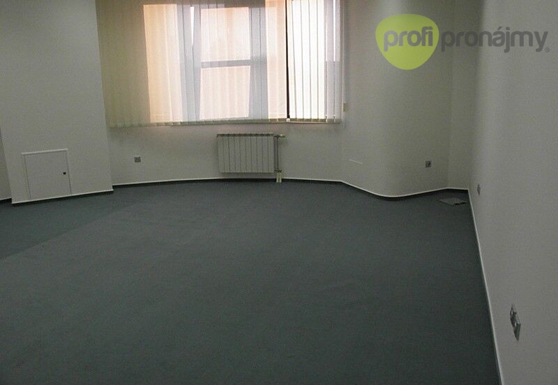 Pronájem kanceláře 161 m² - 4