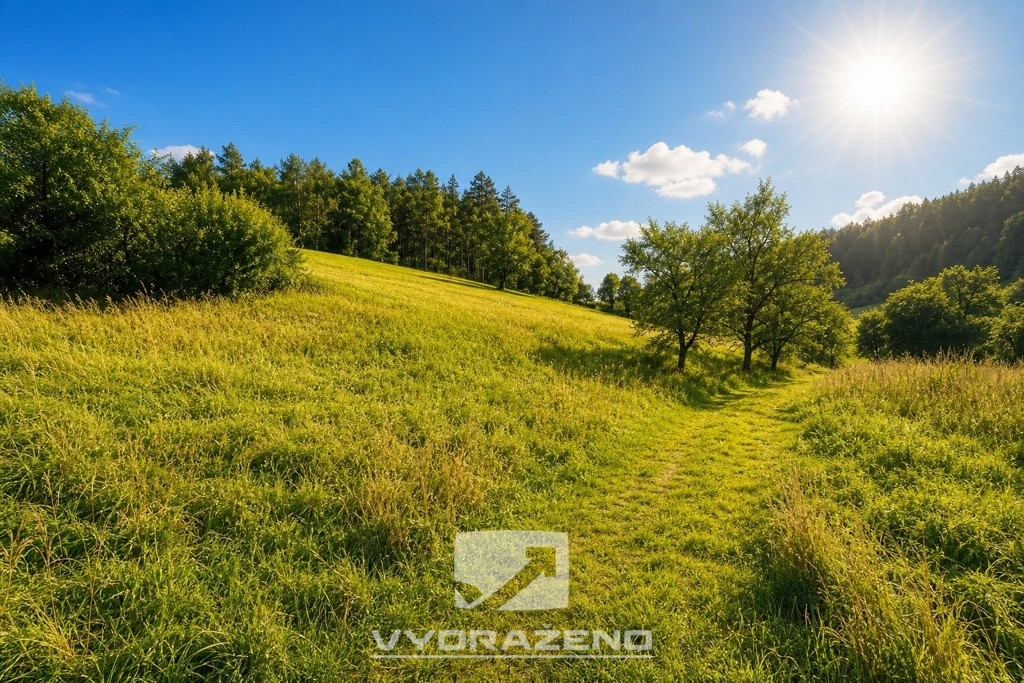 Pozemek (2.467 m2) - Bílá, Liberec - 4