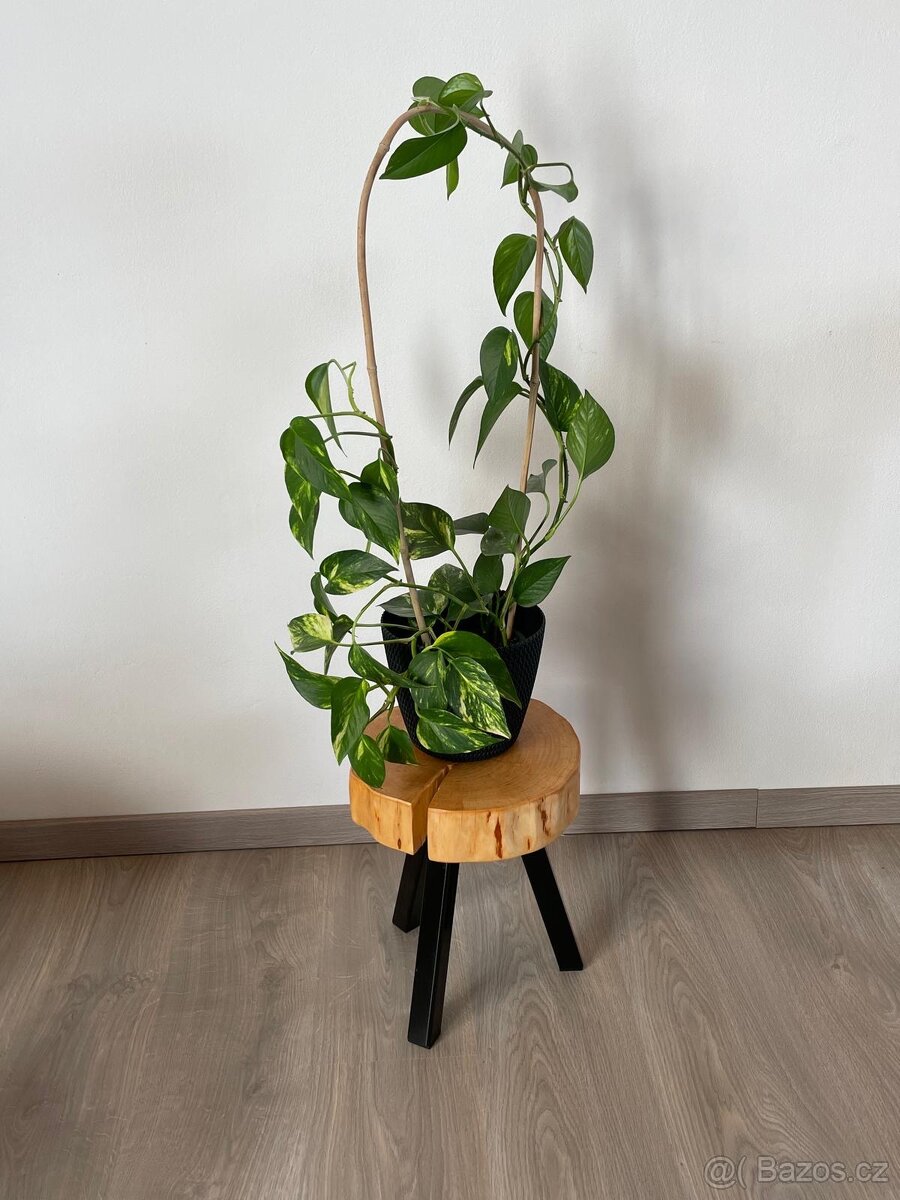 Dřevěné stoličky - 4