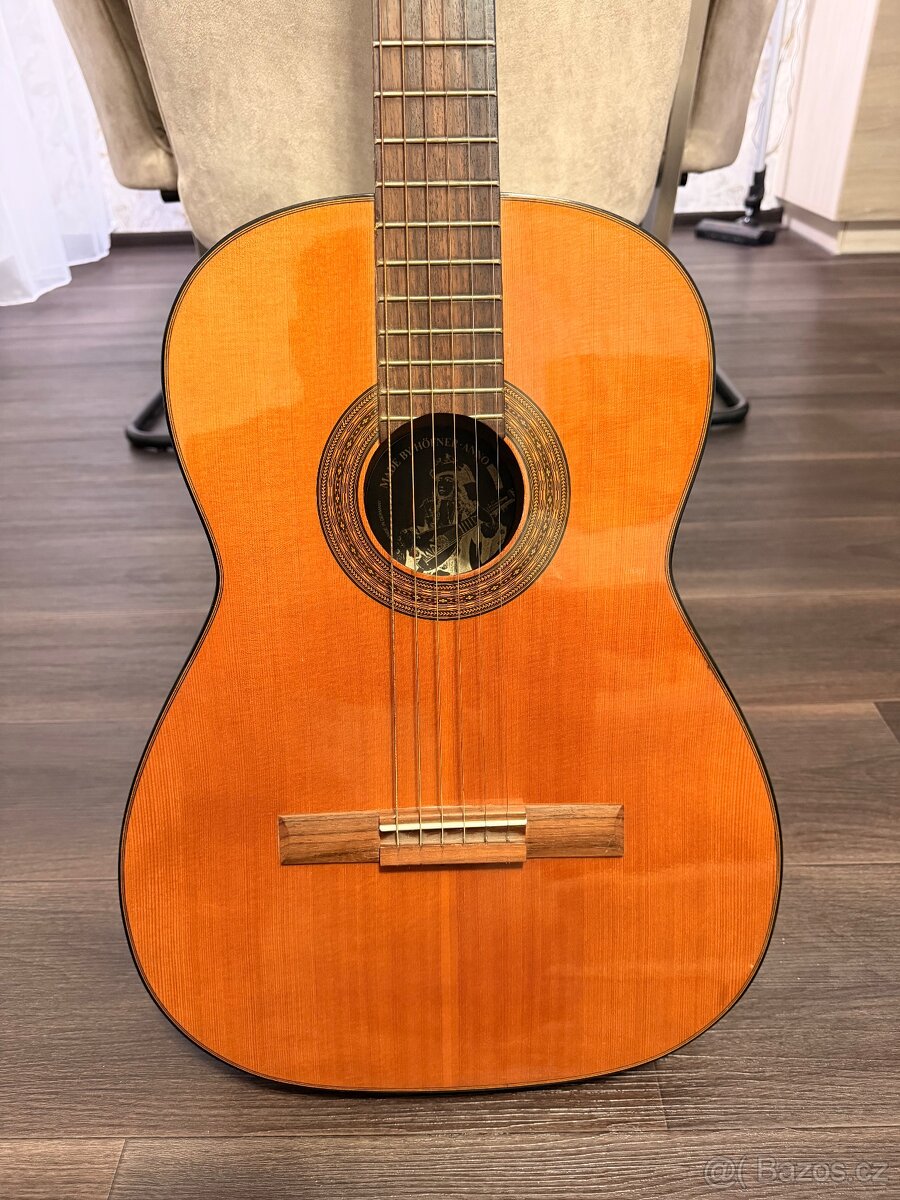Kytara Höfner - 4
