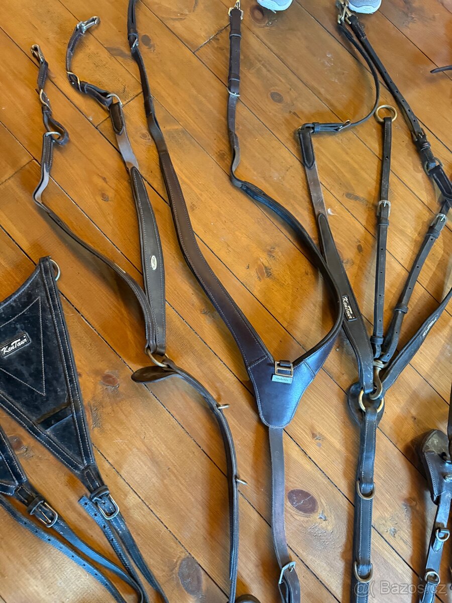 kožené vybavení - 4