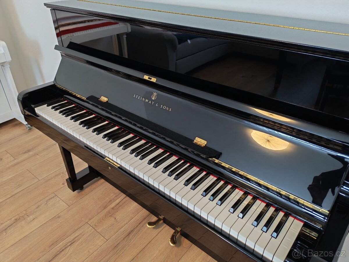 Steinway and Sons dovoz celá ČR - 4