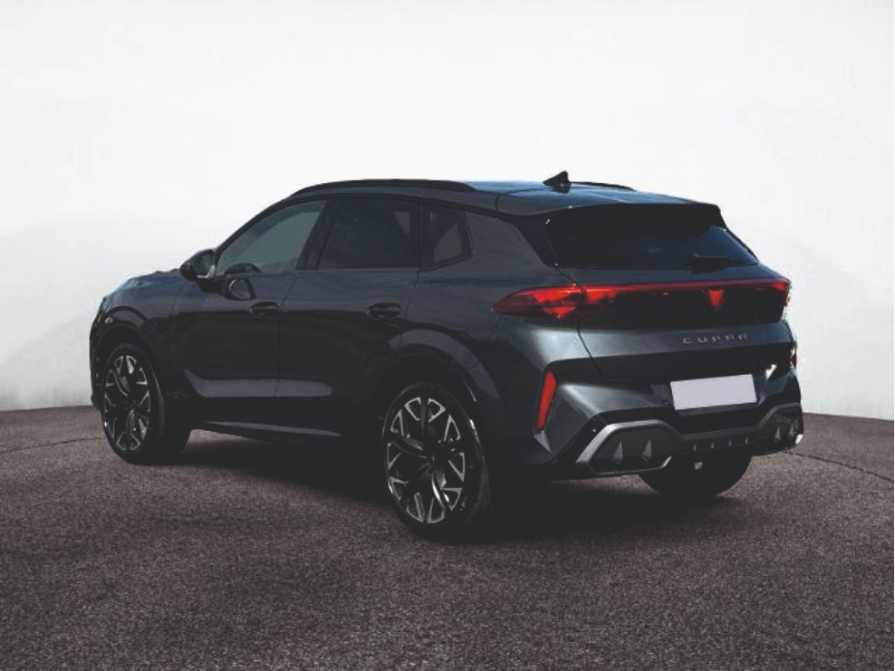 Cupra Terramar VZ 2,0 TSI 4Drive DSG - 4
