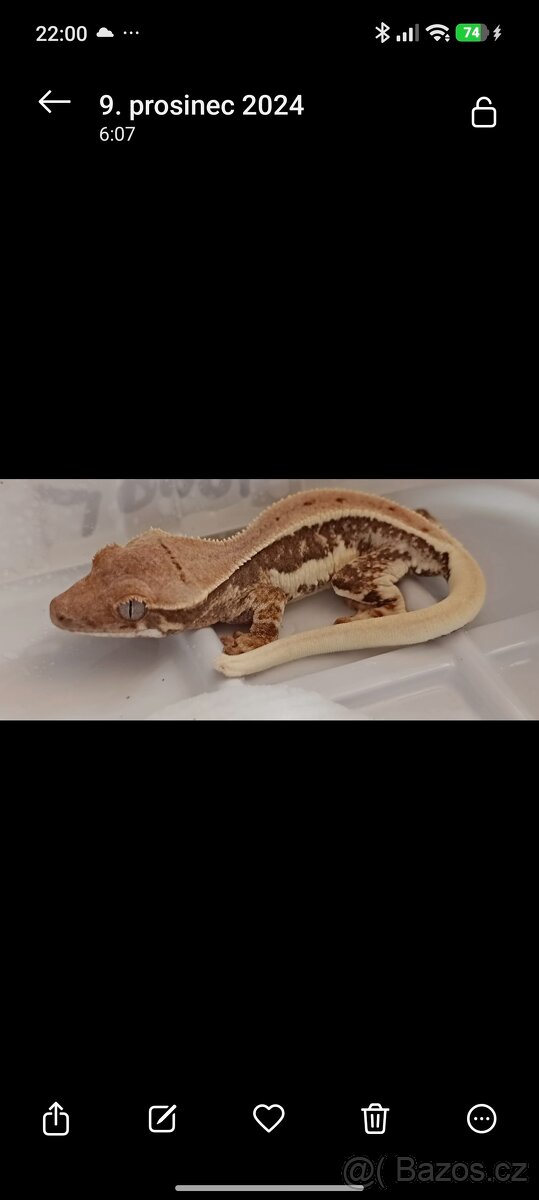 Terária s obyvateli - 4