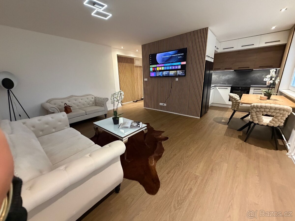 Prodej bytu 2+1 s balkonem 54m Stankova - 4