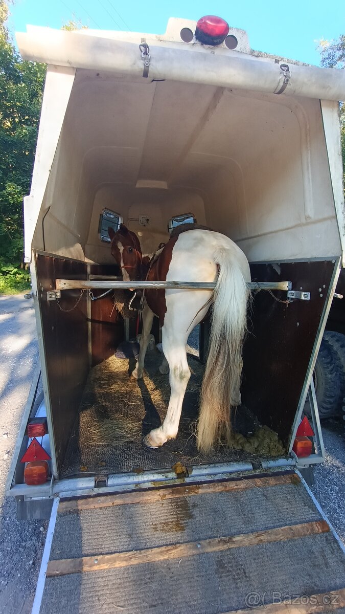 Přepravník na 1,5 koně - 4