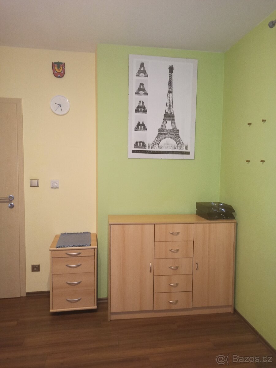 Pronájem pokoje u Říčan - 4