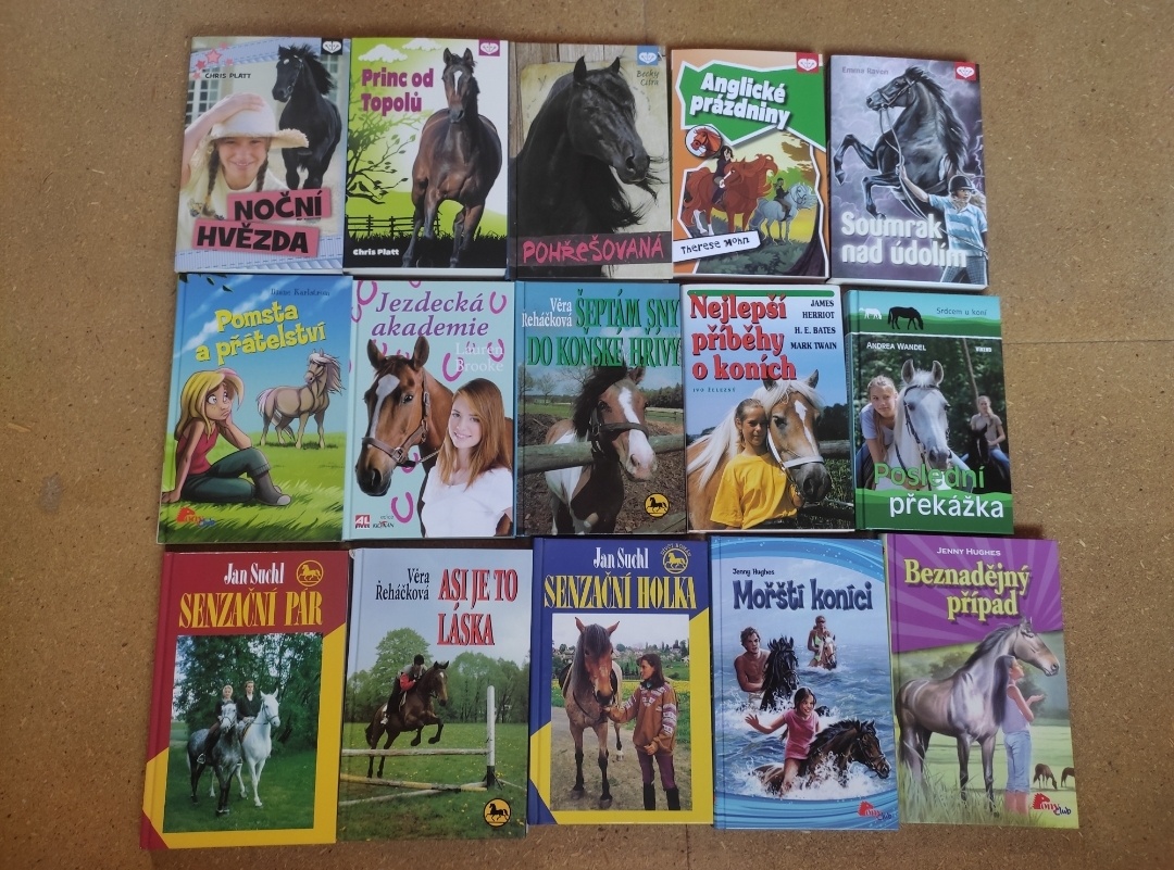 Knihy pro děti, příběhy o koních - 4