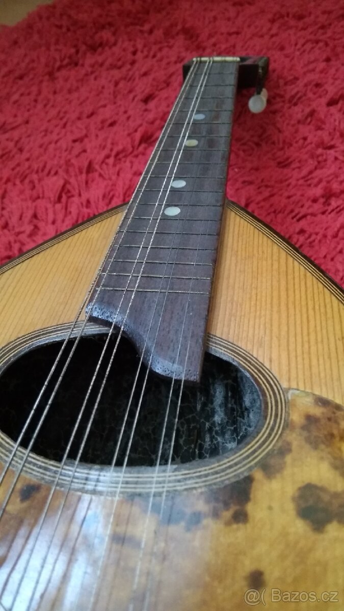 Mandolina nalezový stav - 4