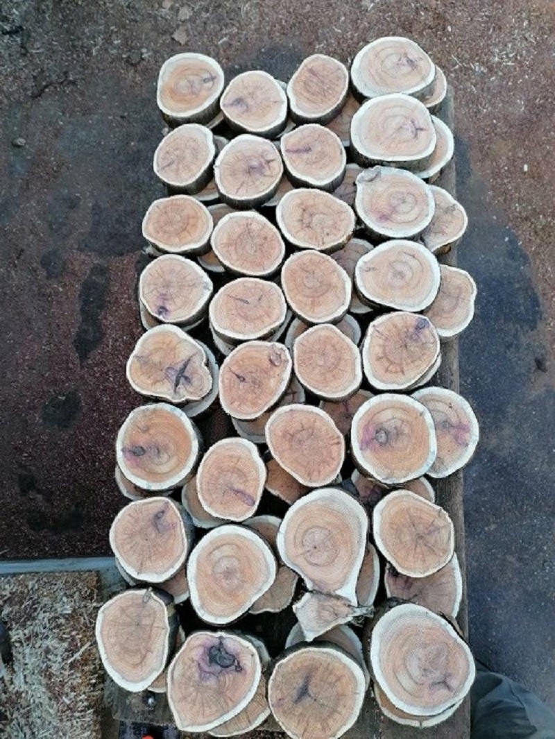 Fošny, prkna, dřevo, hranolky, koláče 65 druhů - 4