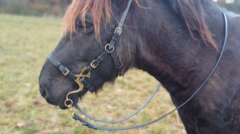 Multifunkční uzdečka s odepínacím udidlem - 4