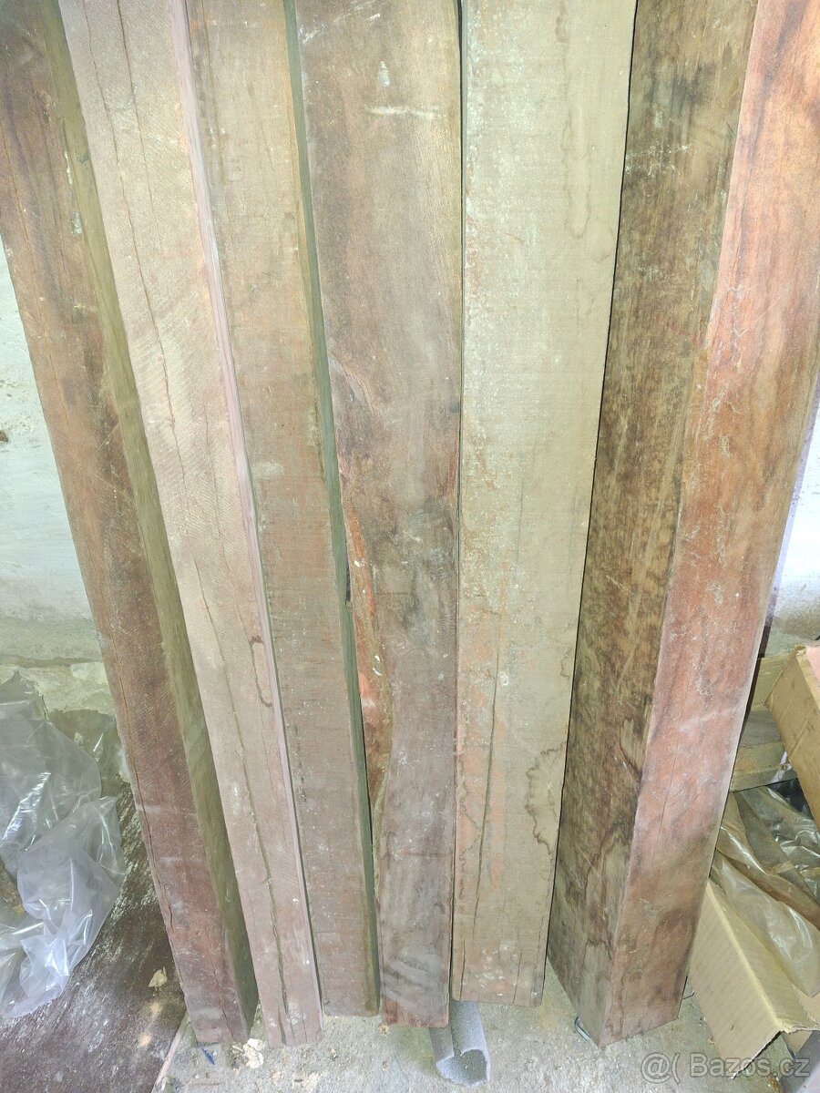 kanadská třešeň - 4