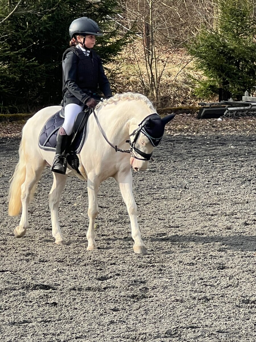 Prodám sportovního pony S - 4
