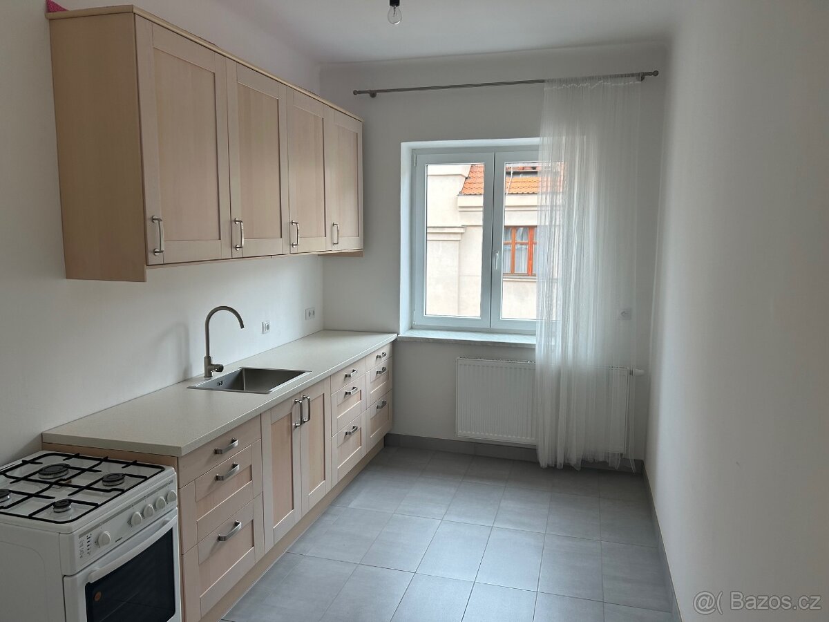 Byt 1+1 k pronajmu v Praze 6, Brevnov, BEZ PROVIZE - 4