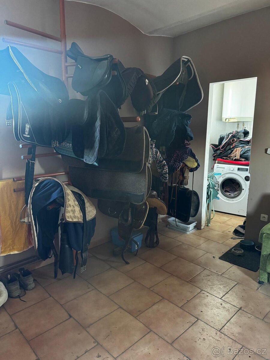 Ustájení koní - box - 4