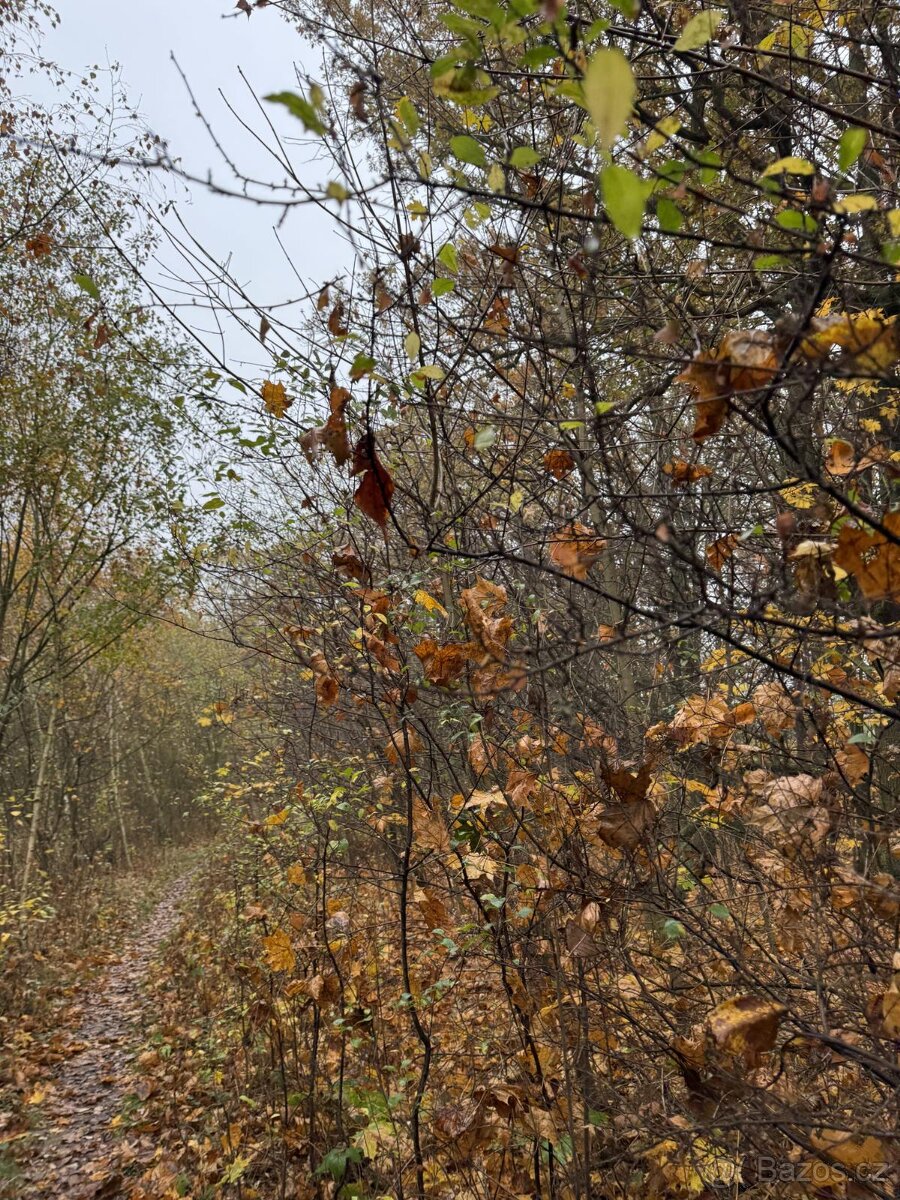 Prodám pozemky v k.ú. Háje a k.ú. Petrovice - 4