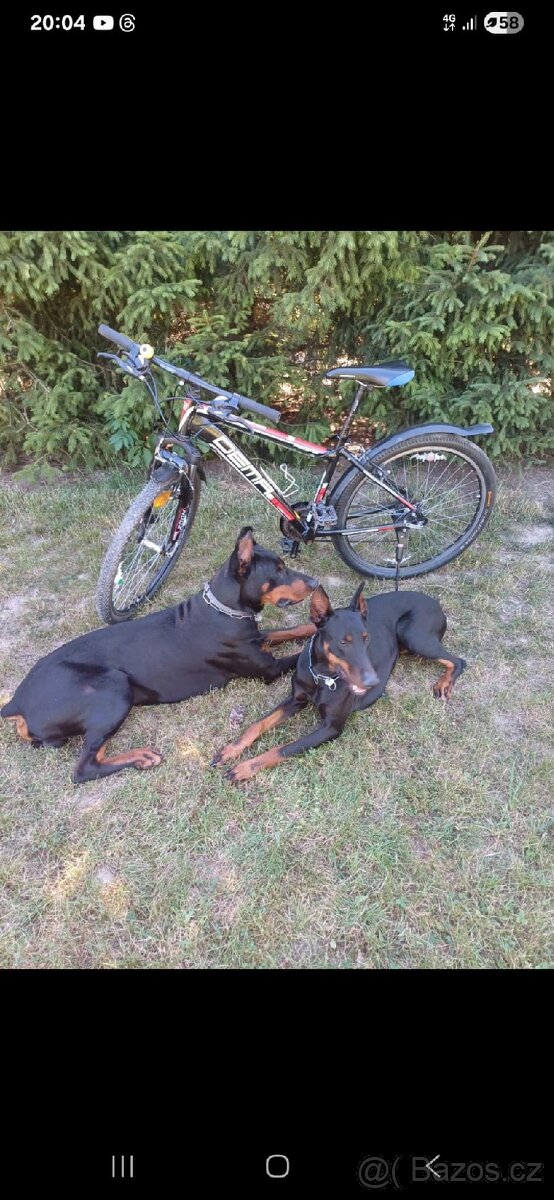 Dětské kolo 26" od 8 do 11 let - 4