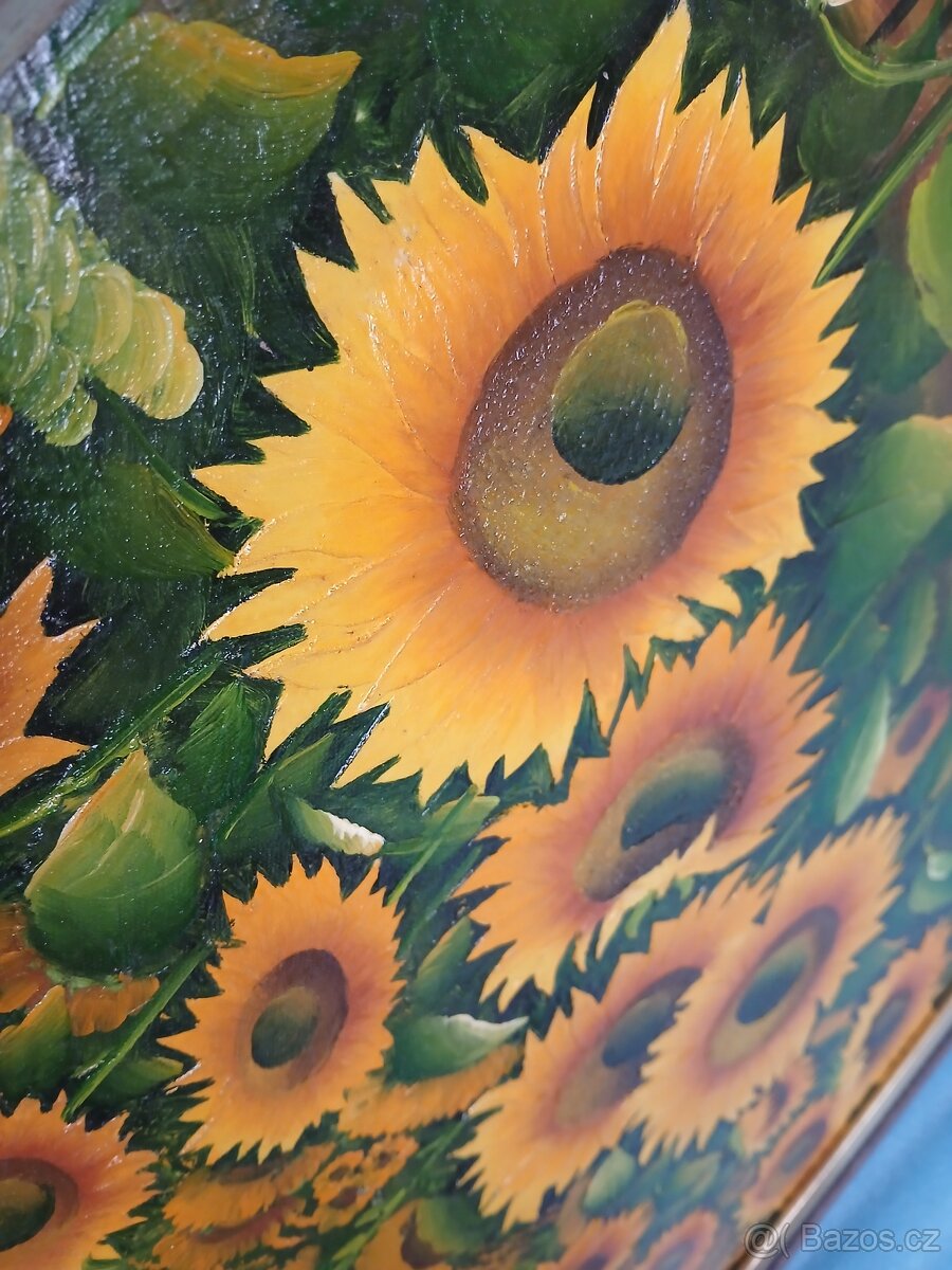 Obraz - Slunečnice - 4