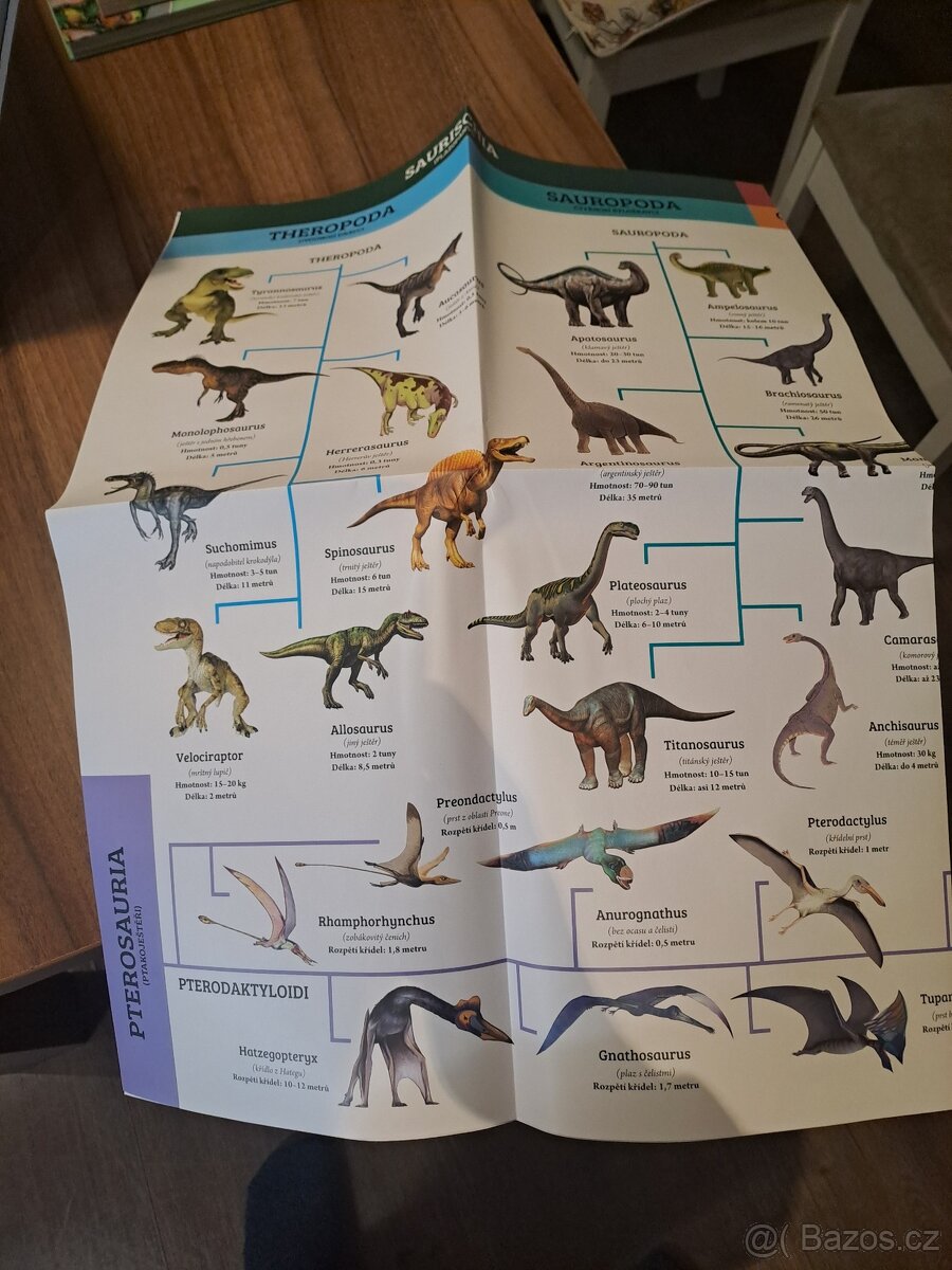 Dinosauři Albi science - 4