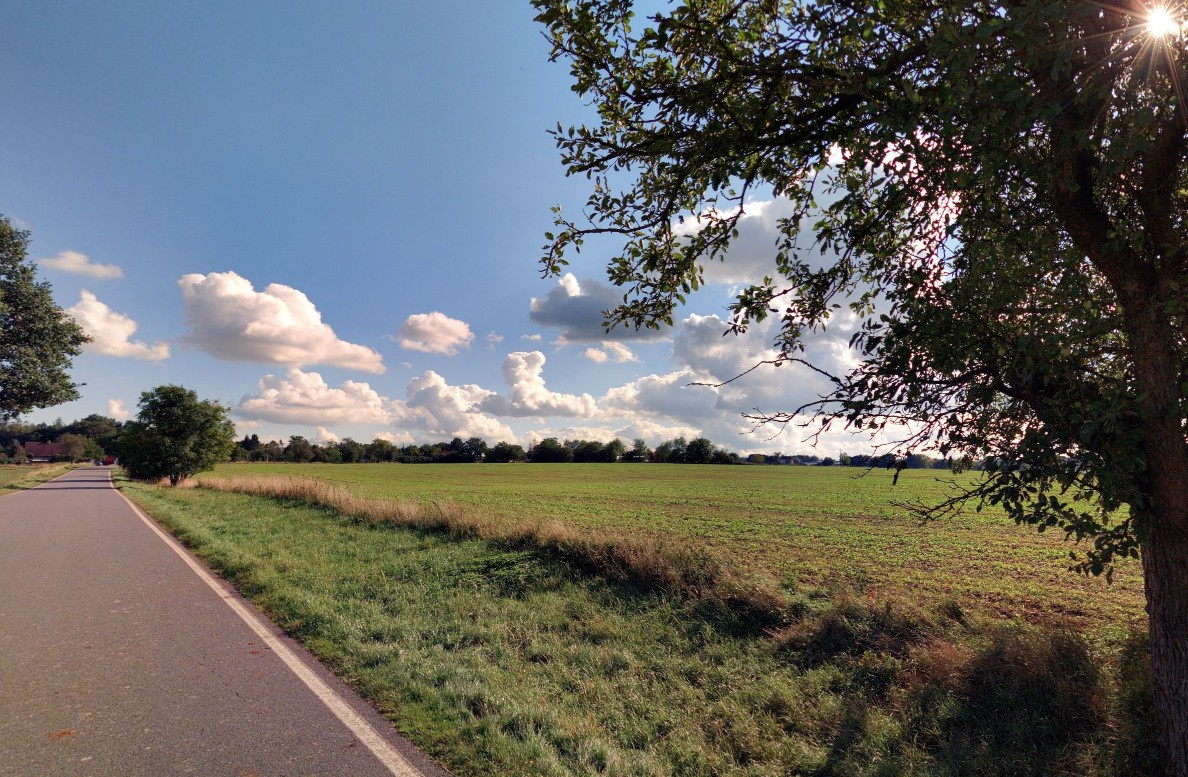 Pole u Zbýšova_Kutná Hora - 4