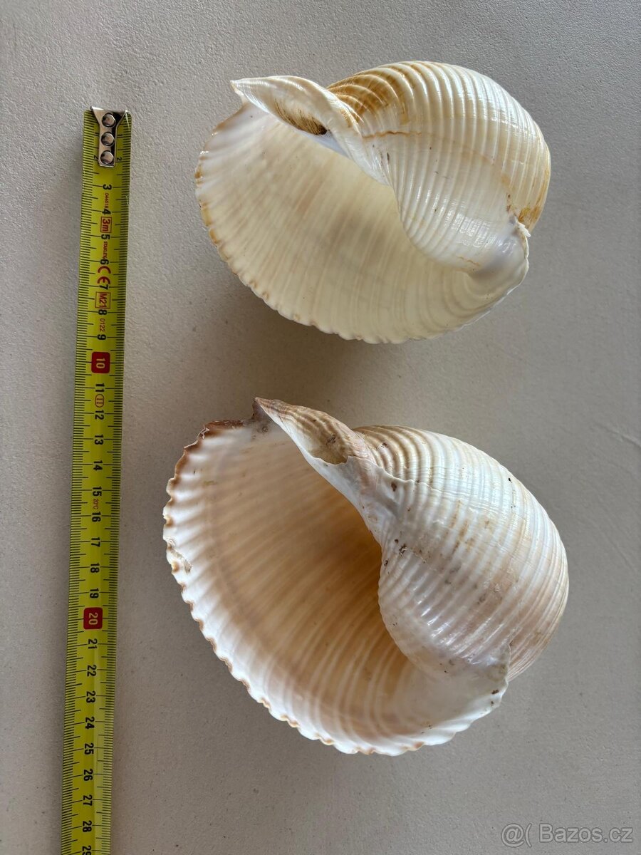 Daruji co už nevyužijeme - 4