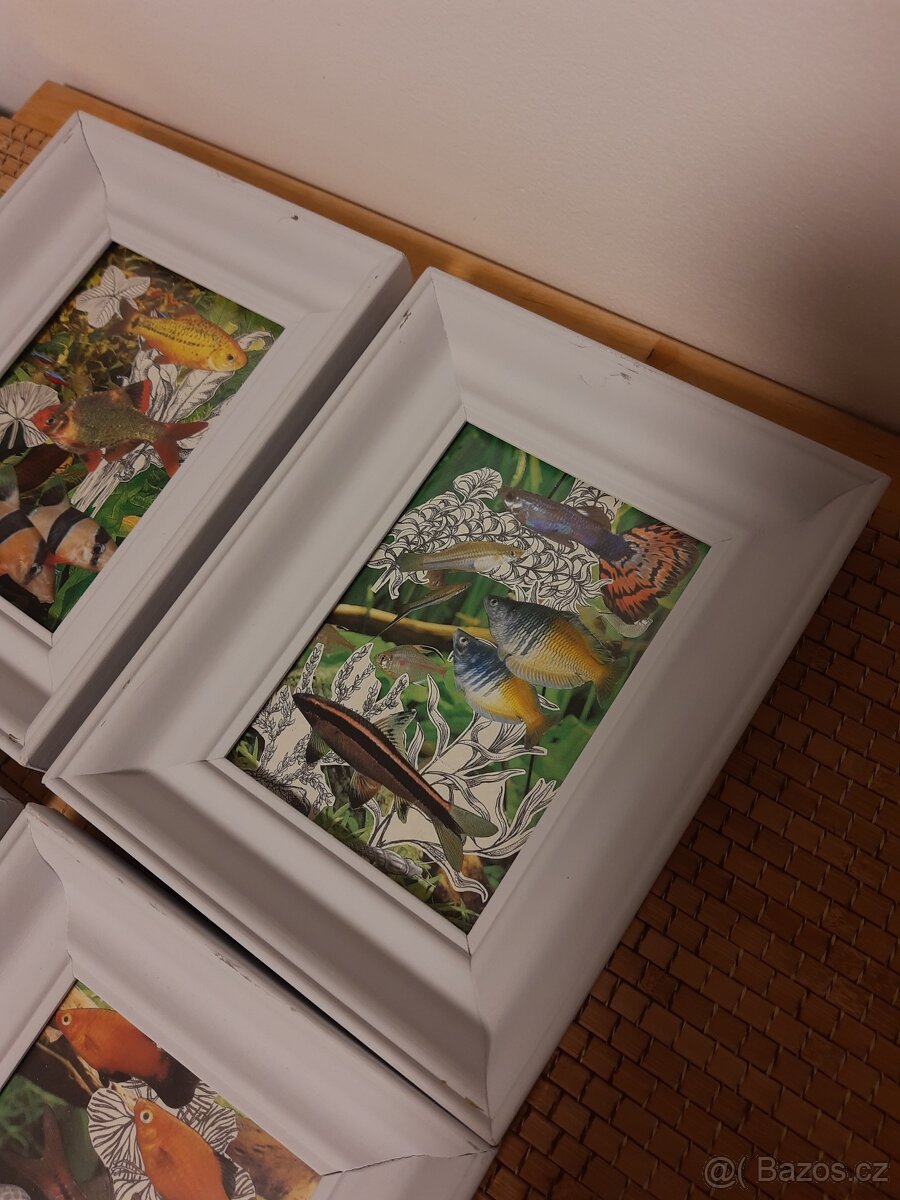 Rámečky/obrázky - 4