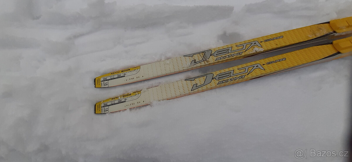 Skating-Set: Běžky-hůlky-boty - 4