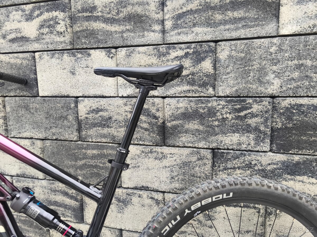 Kellys swag 30 M 2025 - 4